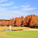 紫塚ゴルフ倶楽部、楽天GORAアワード“全国食事がutf-8