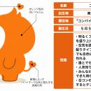 世界初！マッチングアプリ「コンパイキタイ」のutf-8