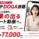 定額制ショート動画編集サービス「タテDOGA放題」を提