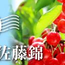 日本百貨店が全国の旬を届ける新企画　「産直 とutf-8