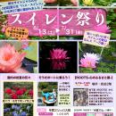 福島県本宮市「蛇の鼻」でスイレン祭り開催中！