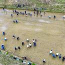 ヤマタネとARTH、長坂の棚田（富山県氷見市）で地域活