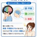 「学校に行きたくない」「ゲームばかり」「癇癪」子育