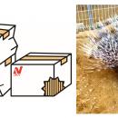 ニチレイフーズ 千葉市と連携協定を締結 千葉市動物公