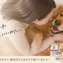 愛犬・愛猫の健康のサインを、毛並み・毛づや・utf-8