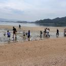 未来へつなぐ江田島の里海。“海のゆりかご”アマモ場を