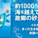 命のつながりと海の未来を見つめる写真絵本『小笠原諸