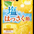 ＼ 夏のお供に ／ 和歌山県産「紀の川はっさく」ピュ
