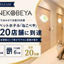 猫専門ペットホテル『ねこべや』、直営・FC合わせて全