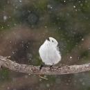 北海道の自然写真が札幌・チカホに集結　第9回年utf-8