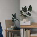 無印良品　「暮らしに、いい音。」オーディオデバイス