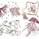 【玉川高島屋S.C.】夏のイベント＆全館セール情utf-8