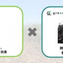 宮古島熱帯果樹園「まいぱり」の排水を浄化した再生水