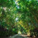 【酒列磯前神社】 7/19（日）は・・・「天赦日」×「一