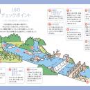 夏の水難事故から命を守る「水上安全法」