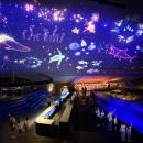 【すみだ水族館】ペンギンたちと見上げる、金魚utf-8