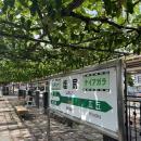 【日本でここだけ！】「駅ホームのぶどう園」色utf-8