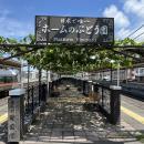 【日本でここだけ！】「駅ホームのぶどう園」色utf-8