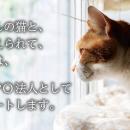 【大阪】企業の社会貢献を