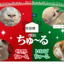いなばペットフード あなたのわんちゃん・ねこちゃん