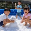 真夏に雪？！ タングラム夏休み特別企画 「夏山で雪遊