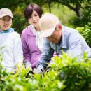 生産者の平均年齢75歳 後継者ほぼゼロ　消えゆくutf-8