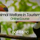 GSTC、観光における「動物福祉」の国際オンライン研修