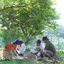 【ＢＳ日テレ】なおみ農園～本格的な夏を前に…！初夏