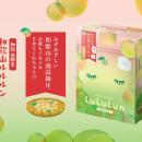 国内売上No.1のルルルンから、和歌山エリア限定で、芳