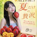 夏だけの贅沢、台南マンゴーが今年も日本に登場utf-8