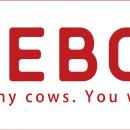 静岡・富士山麓発！ミルクを楽しむお店「IDEBOK(utf-8