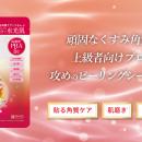 高濃度*PHA※ 5％配合（整肌）でつるんとなめらかな肌