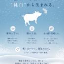 100名超の料理人が惚れ込んだ幻の豚「純白のビアンカ