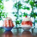 【期間限定】夏の涼を味わう「かき氷フェア」開催!　