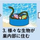 プラスチック製ボトルキャップに乗ったゴカイ達utf-8