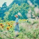 夏の神戸布引ハーブ園は最高に楽しい！「きっと忘れな