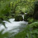 奥入瀬渓流全体が「天然の自然博物館」に！9月7日より