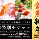 新年のお祝いに、縁起の良い金魚鑑賞を。金魚新年～ア