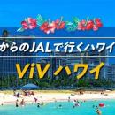 JALで行くハワイ　価格固定型商品「ViV」新登場！　20